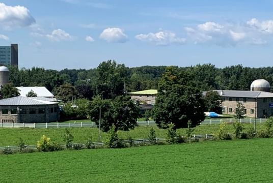 Landscape on a sunny day showing the grounds of part of the Macdonald Campus farm