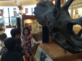 Children visiting the Redpath museum