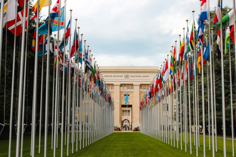 The United Nations' headquarters in Geneva, adorned by two rows of the world's flags
