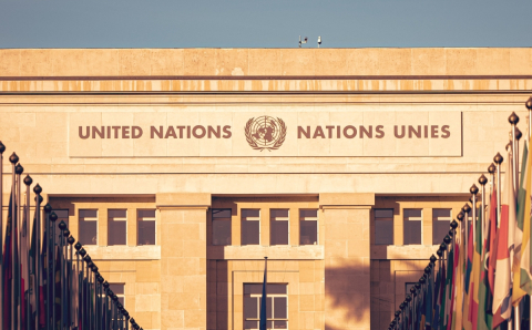 Two rows of flags flying outside a United Nations building