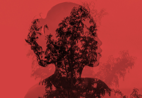Woman's silhouette overlaid with tree branches