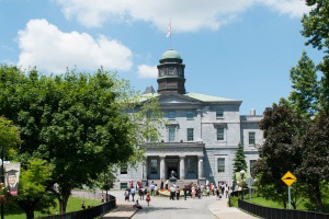 McGill campus in summer