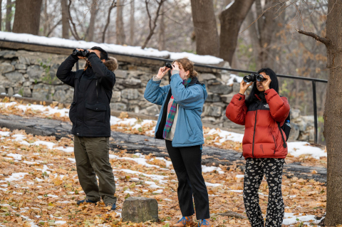 3 students birdwatching in the early winter on Mount Royal