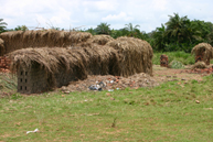 Brick making on the demostration site