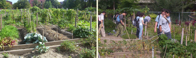 Visit to Montreal&#039;s Community Gardens in 2004.