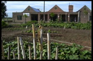 Example of urban agriculture on institutional land