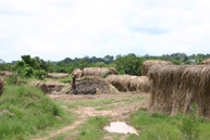 A view to the low-lying wetland area and brick making