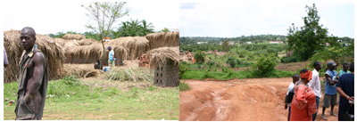 Views of the demostration site