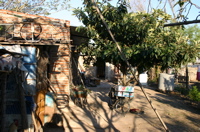 Detailed view of housing conditions in Rosario