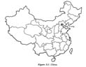 Figure 3.1: China. 