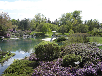 Visit to Botanical Gardens during the EL May Workshop in Montreal.