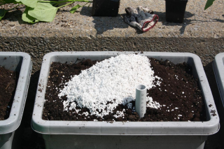 Adding Perlite and Compost