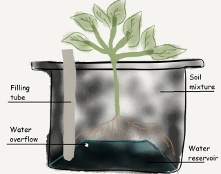 Drainage system of container