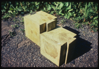 A pair of interlocking sulfur concrete blocks