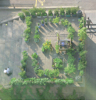Making the Edible Campus
