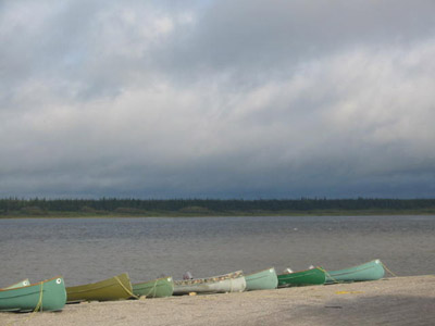 Des kayaks verts sur le bord d'un lac.