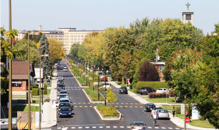 Road with trees lined on each side.
