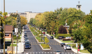 rue bordee d'arbre.