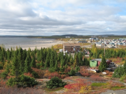 a Northern Quebec landscape with a beach to the left and trees.