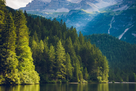 A body of water with trees and mountains in the background