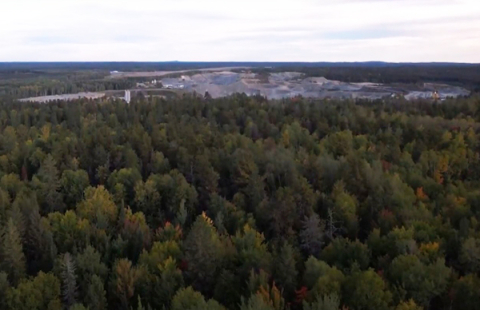 Forest of evergreen with lake in the background and cloudy sky.