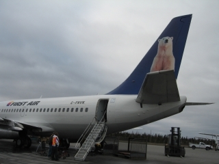 An blue and white passenger airplane with a polar bear image on its tail.
