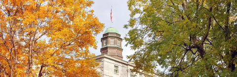 Cupola and McGill flag