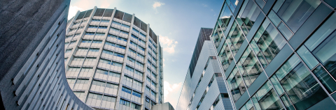 McIntyre and Bellini Buildings