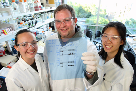 Three graduate students in lab