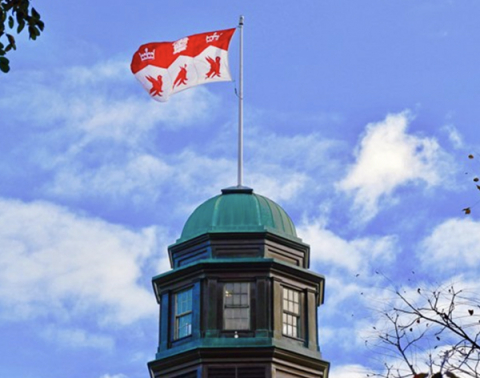 Cupola and McGill flag