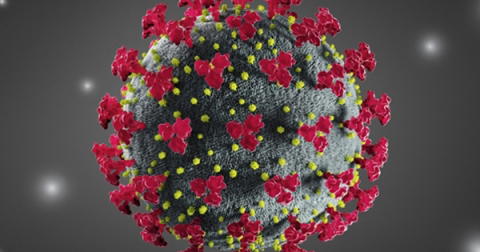 COVID-19 virus model imagery