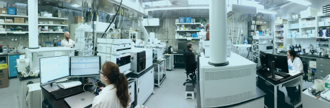 Panoramic lab view with researchers