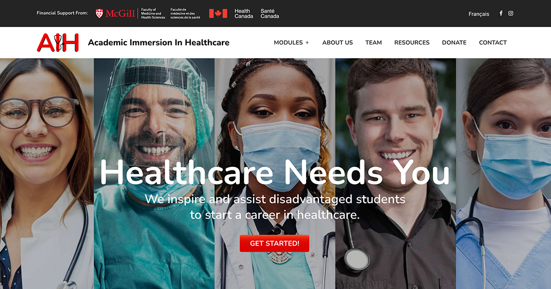 Academic Immersion in Healthcare Website