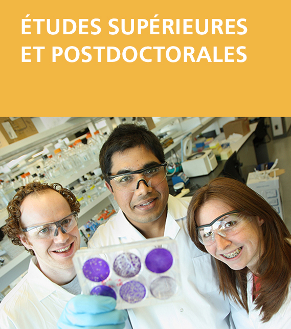 Études supérieures et postdoctorales