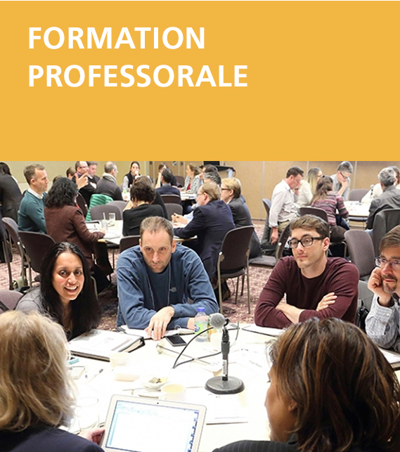 Formation professorale