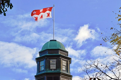 McGill flag