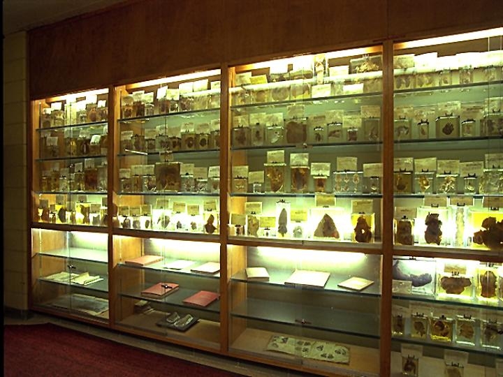 Osler specimen display pathology Department c 2002