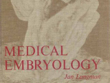 Image cover Medical Embryology