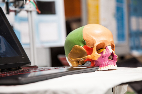 Multicoloured skull beside a laptop on a table at an event presenting different projects