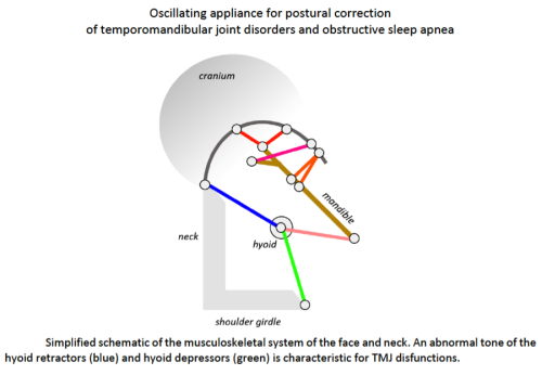 capstone project ideas medicine Simplified schematic of the musculoskeletal system of the face and neck
