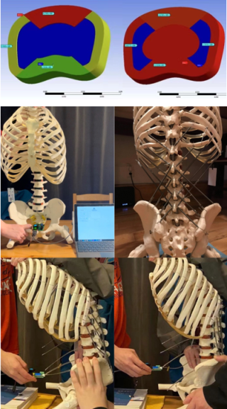 Several images of a robotic spine being manipulated for design improvements