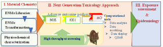 Safety assessment of ingested nanomaterials