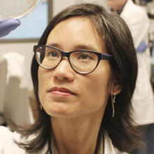 Dao Nguyen Dao Nguyen