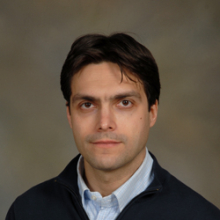 Damiano Pasini Damiano Pasini