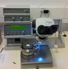 wire bonder