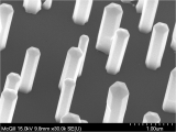 SEM image of InN nanowires grown directly on Si substrates by molecular beam epi