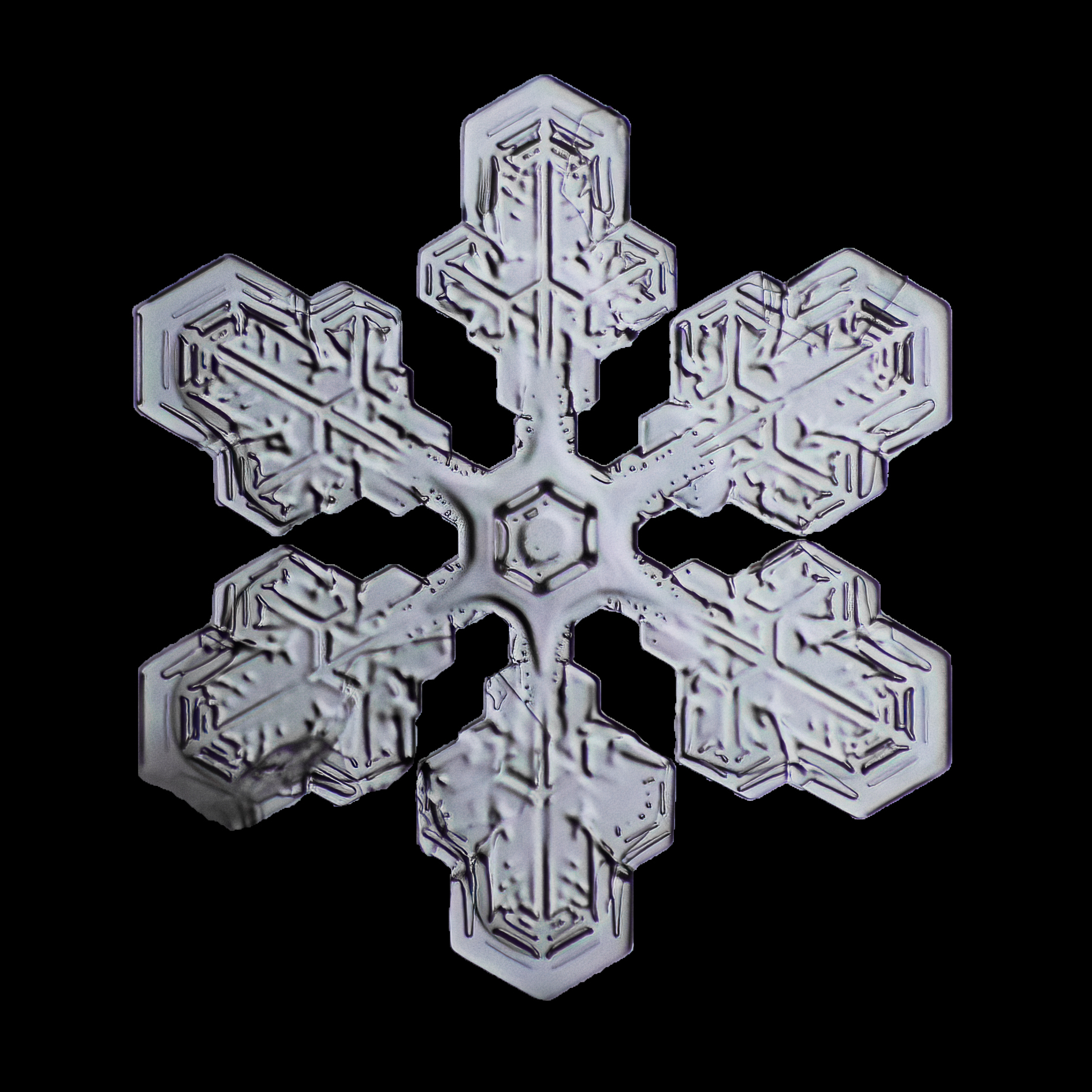 Stellar Dendrite Snowflake, one of the many kinds that fall to the ground when it snows
