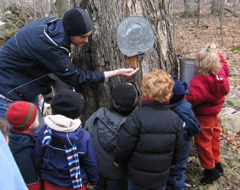 A teacher demonstrating maple tapping to children