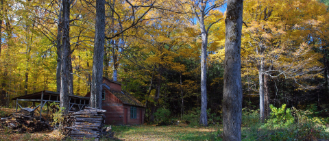 An old sugar shack in an autumn forest