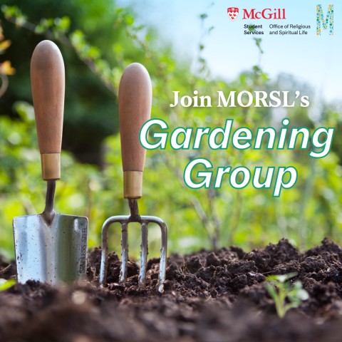 gardening tools, soil, plants
